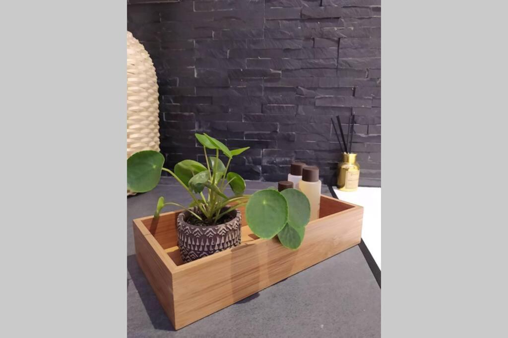 Elegante Open Space Con Vasca Idromassaggio A Trastevere Eksteriør billede